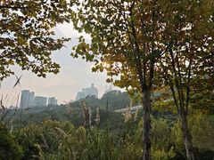 -林中乐辣子鸡(歌乐山总店)