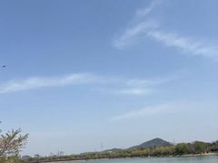 -羊山湖公园