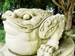 -活水公园