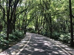 -东湖落雁景区