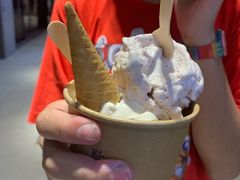 -歎雪糕低糖低脂Gelato冰淇淋