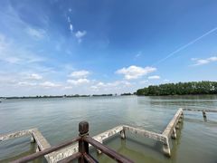 -溱湖国家湿地公园