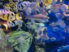 -成都浩海立方海洋公园