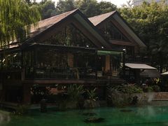 -静安公园(静安寺街道)