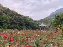 -广州市石门国家森林公园
