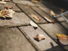 -COTTON CAFE(德信·中外公寓店)