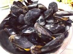 -宾朋海鲜特色美食餐厅·纯手工鲅鱼水饺(兴海路店)