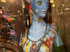 -奥兰多迪士尼动物王国乐园