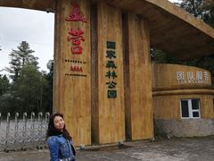 -五营红松林海景区