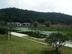 -龙寺生态园
