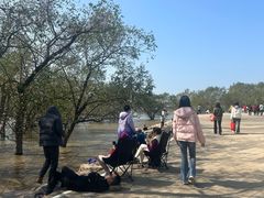 -宝安西湾红树林湿地公园