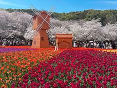 -苏州上方山国家森林公园