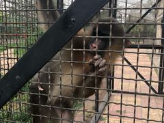 -石家庄市动物园