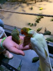 -酷嗒动物文化乐园(cutezoo西溪乐天城店)