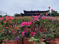 -海南文笔峰盘古文化旅游区