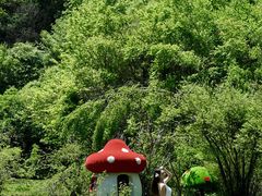 -叠溪松坪沟景区