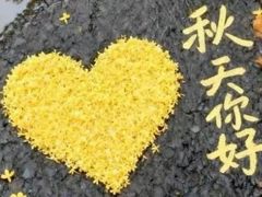 -樱桃沟景区
