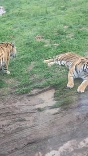 -西安秦岭野生动物园