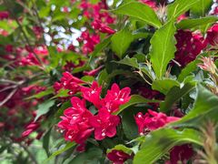 -长春公园(普阳街道)