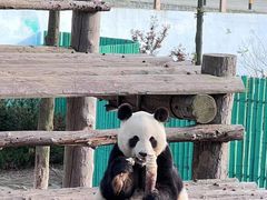 -西霞口神雕山野生动物世界