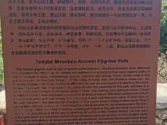 -阳台山自然风景区