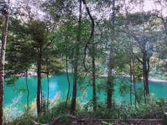 -广州市流溪河国家森林公园