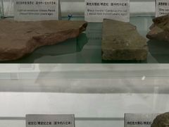 -鹿野苑石刻艺术博物馆