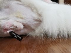 -美联众合24小时·皮肤科·外科·全科诊疗中心(华苑分院)