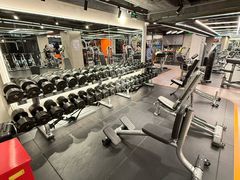 -健身专家Wellness Experts