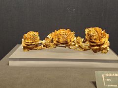 -温州博物馆