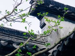 -北寺塔