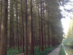 iphone_upload_pic-上海怡沁园度假酒店