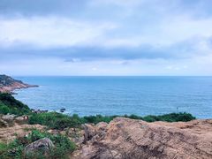 -广东惠东海龟国家级自然保护区