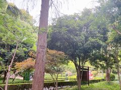 -上海佘山国家森林公园天马山园