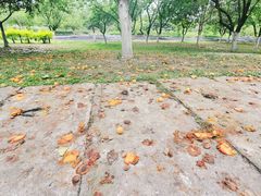 -成都中医药大学(温江校区)