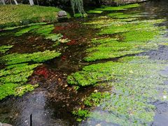 -水磨沟公园