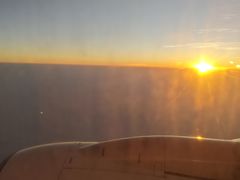 -大湾区中央湿地公园-十九涌