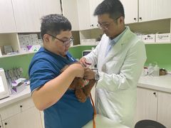 -圣宠动物医院·犬猫专科·影像中心·外科中心
