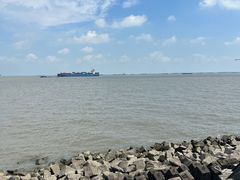 -上海滨江森林公园