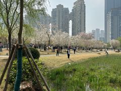 -西北湖绿化广场
