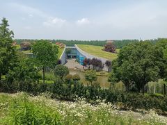 -合肥滨湖国家森林公园