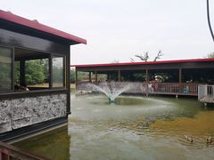 -老杨砂锅鱼庄