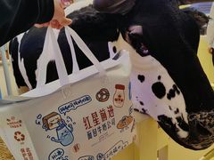 -红星前进面包牛奶公司(君太店)