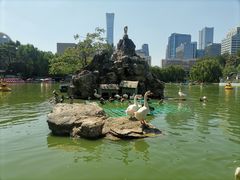 -团结湖公园
