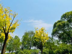 -东郊湿地公园