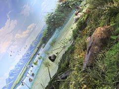-怀来官厅水库