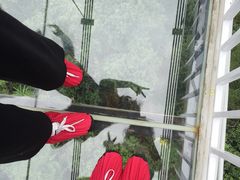 -牛鱼嘴原始生态风景区