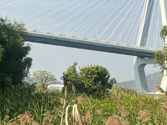 -芒洲湿地公园