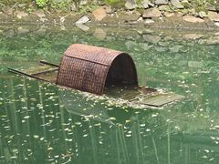 -十八棵（老龙井）御茶园(老龙井店)