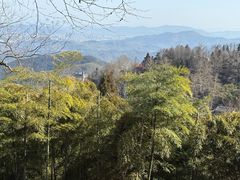 -莫干山风景区